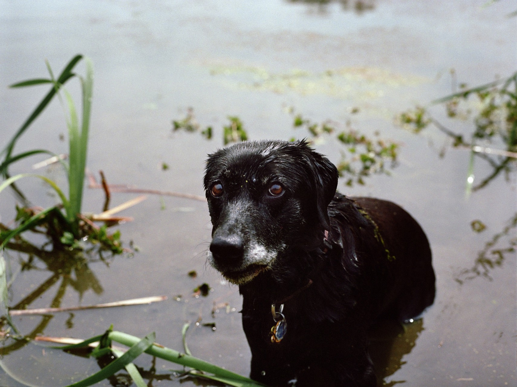 10 Bailey_Franklin_TN