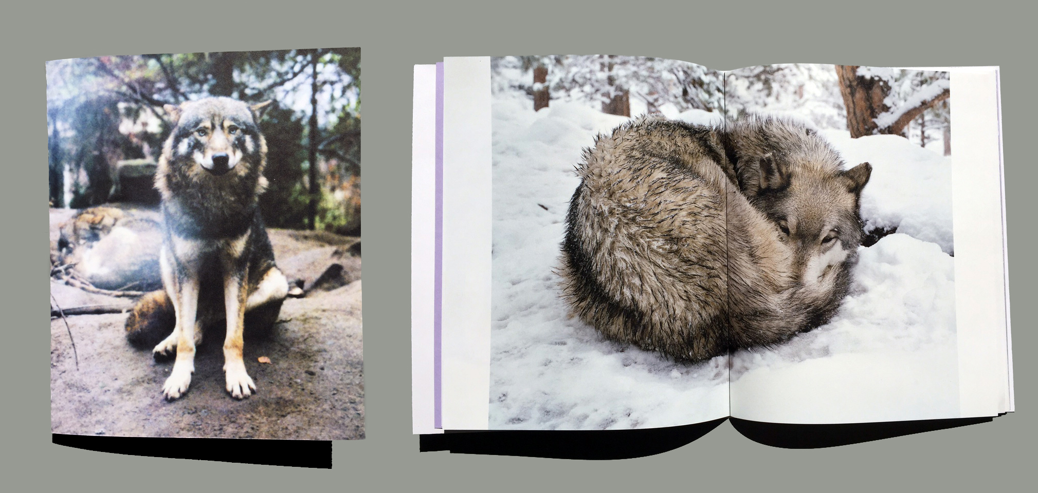 spread cover site